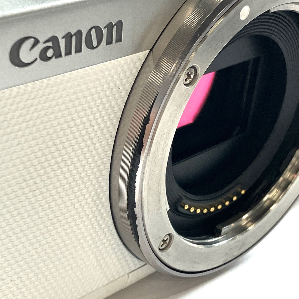 バイセル公式】キヤノン Canon EOS M100 + EF-M 22mm F2 STM デジタル ...