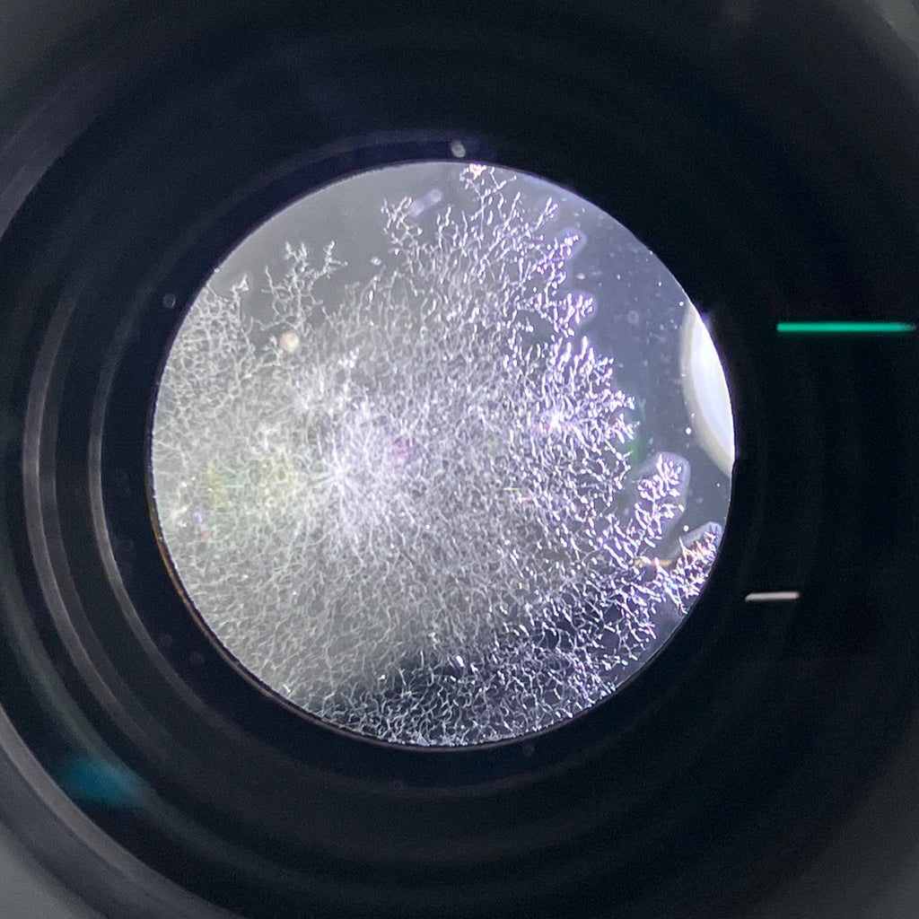 【在庫一掃】 ニコン Nikon AF MICRO NIKKOR 105mm F2.8D 一眼カメラ用レンズ（オートフォーカス） 【中古】cambb