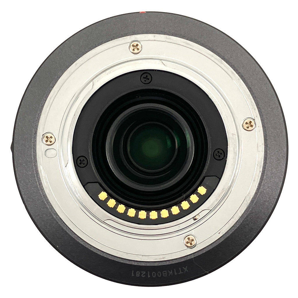 パナソニック Panasonic LUMIX G VARIO 100-300mm F4.0-5.6 II POWER O.I.S. H-FS100300 一眼カメラ用レンズ（オートフォーカス） 【中古】