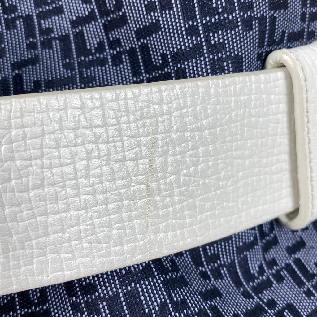 ロエベ ロゴ ショルダーバッグ 巾着型 ショルダーバッグ キャンバス ブルー ホワイト レディース 【中古】