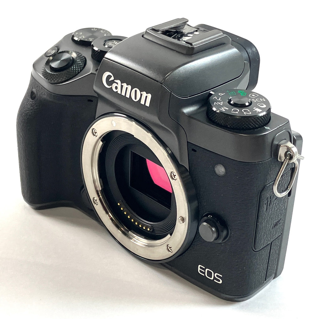 キヤノン Canon EOS M5 ボディ デジタル ミラーレス 一眼カメラ 【中古】