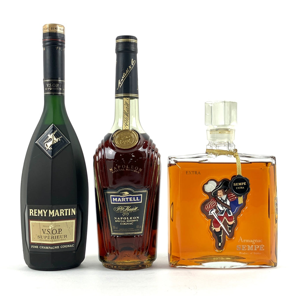 3本 REMY MARTIN MARTELL Hennessy コニャックバイセルブランデーセット - midoc.com.br