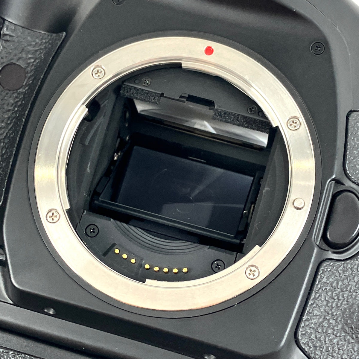 バイセル公式】キヤノン Canon EOS 1V HS ボディ フィルム