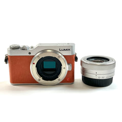 パナソニック Panasonic LUMIX DC-GF9 ＋ LUMIX G VARIO12-32mm F3.5-5.6 ASPH. MEGA O.I.S. デジタル ミラーレス 一眼カメラ 【中古】