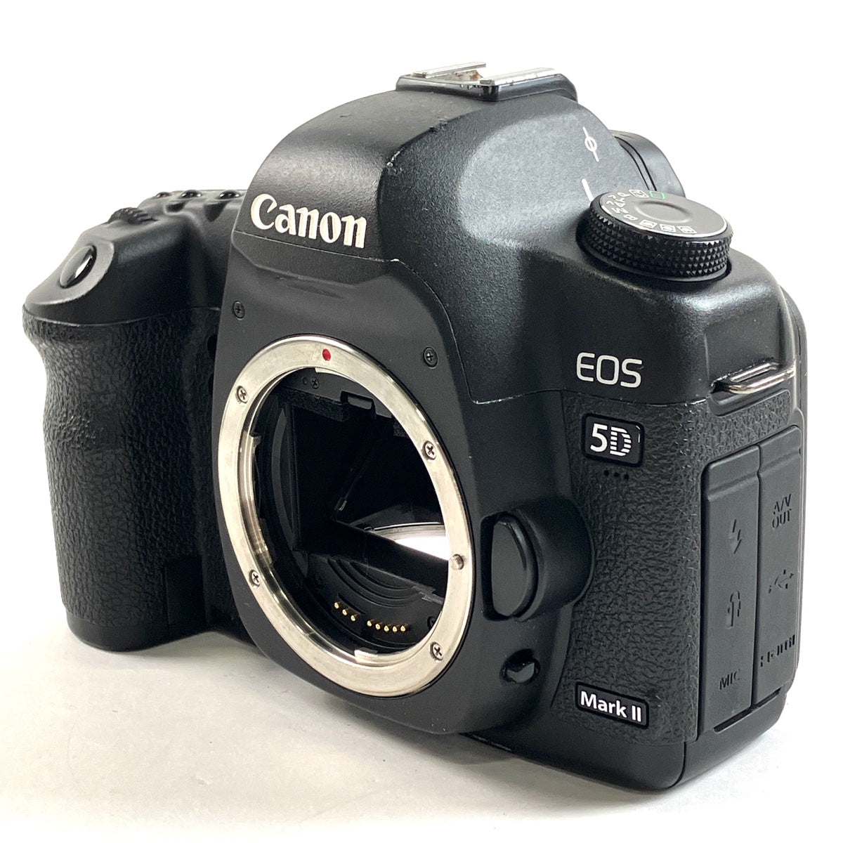14年前のデジカメで写真を撮ってみた【EOS 5D Mark II】