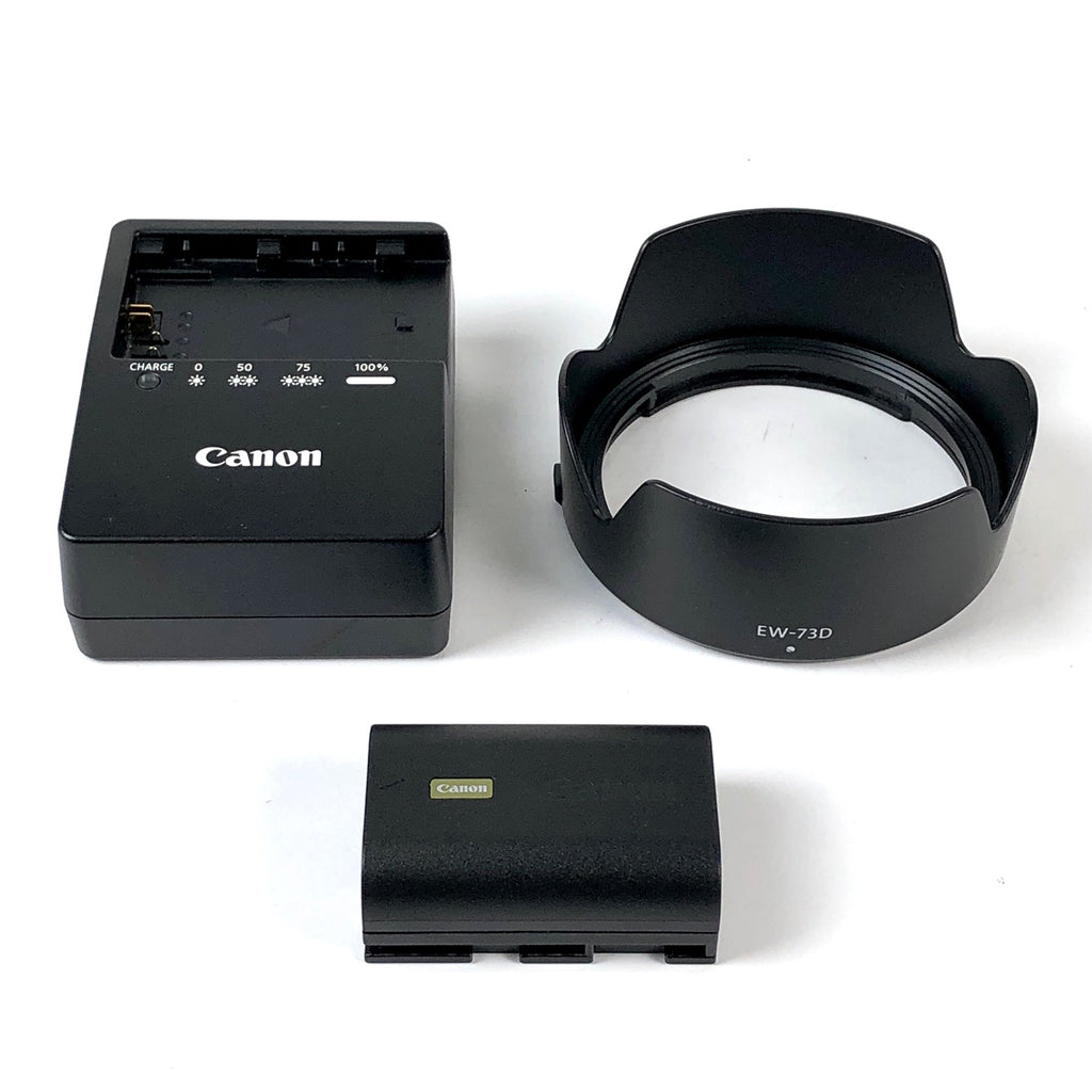 キヤノン Canon EOS R6 RF 24-105 IS STM レンズキット デジタル ミラーレス 一眼カメラ 【中古】