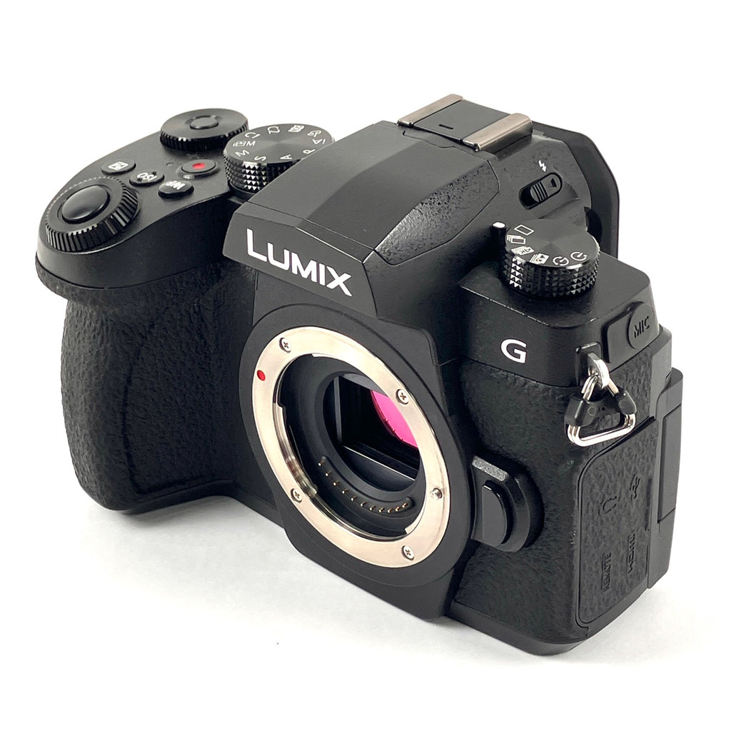 パナソニック Panasonic LUMIX DC-G99H 高倍率ズームレンズキット デジタル ミラーレス 一眼カメラ 【中古】