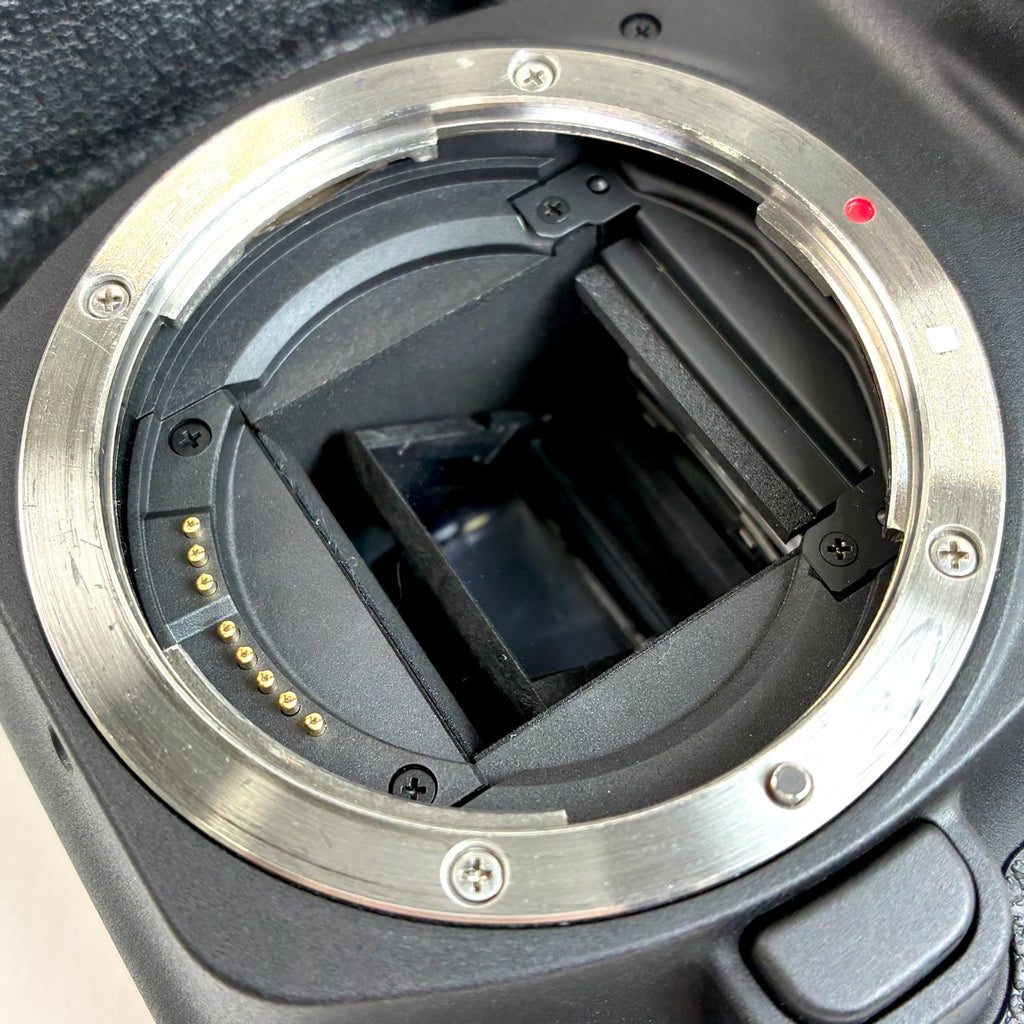 キヤノン Canon EOS 90D ボディ デジタル 一眼レフカメラ 【中古】cambb