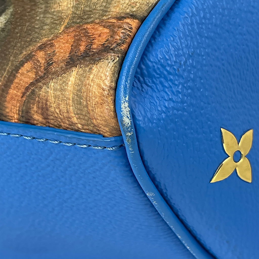 ルイ・ヴィトン スピーディ 30 ルーベンス マスターズコレクション ハンドバッグ レザー ブルー マルチカラー M43305 【中古】brbag