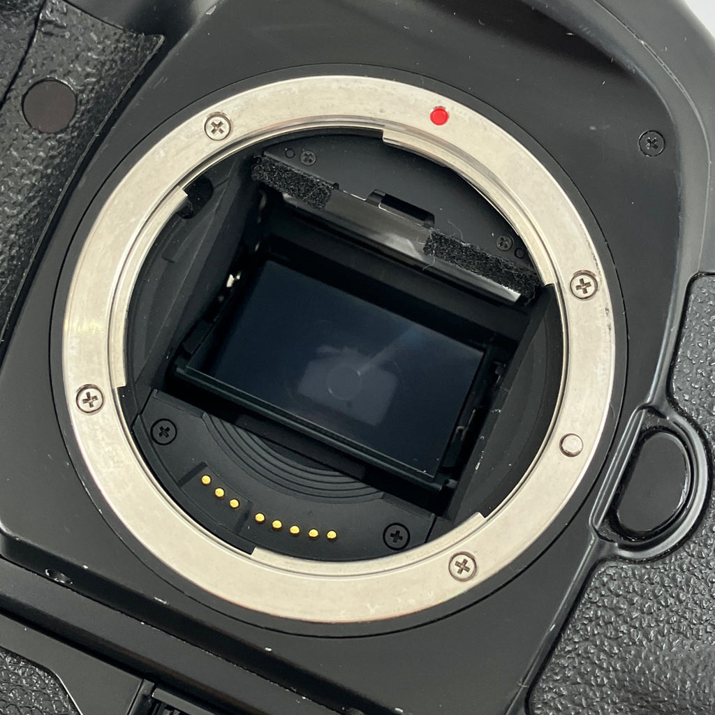キヤノン Canon EOS 1V HS ボディ フィルム オートフォーカス 一眼レフカメラ 【中古】cambb