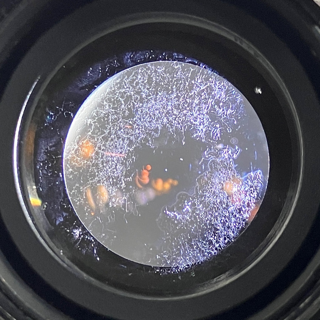 【在庫一掃】 ニコン Nikon NIKKOR-P 10.5cm F2.5 105mm Sマウント レンジファインダーカメラ用レンズ 【中古】cambb cambb