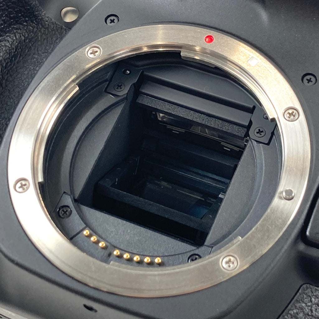 キヤノン Canon EOS 80D ボディ デジタル 一眼レフカメラ 【中古】cambb