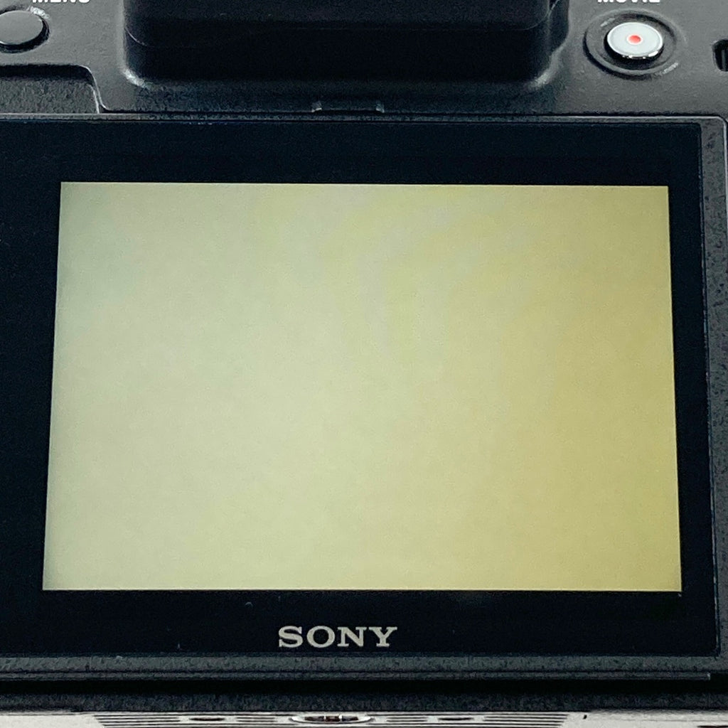 ソニー SONY DSC-RX10M4 RX10IV コンパクトデジタルカメラ 【中古】cambb
