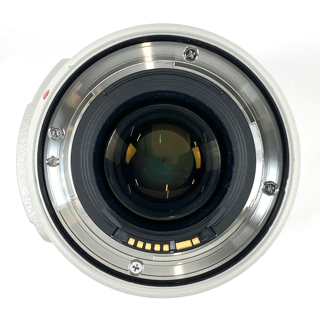 キヤノン Canon EF 70-300mm F4-5.6L IS USM 一眼カメラ用レンズ（オートフォーカス） 【中古】cambb