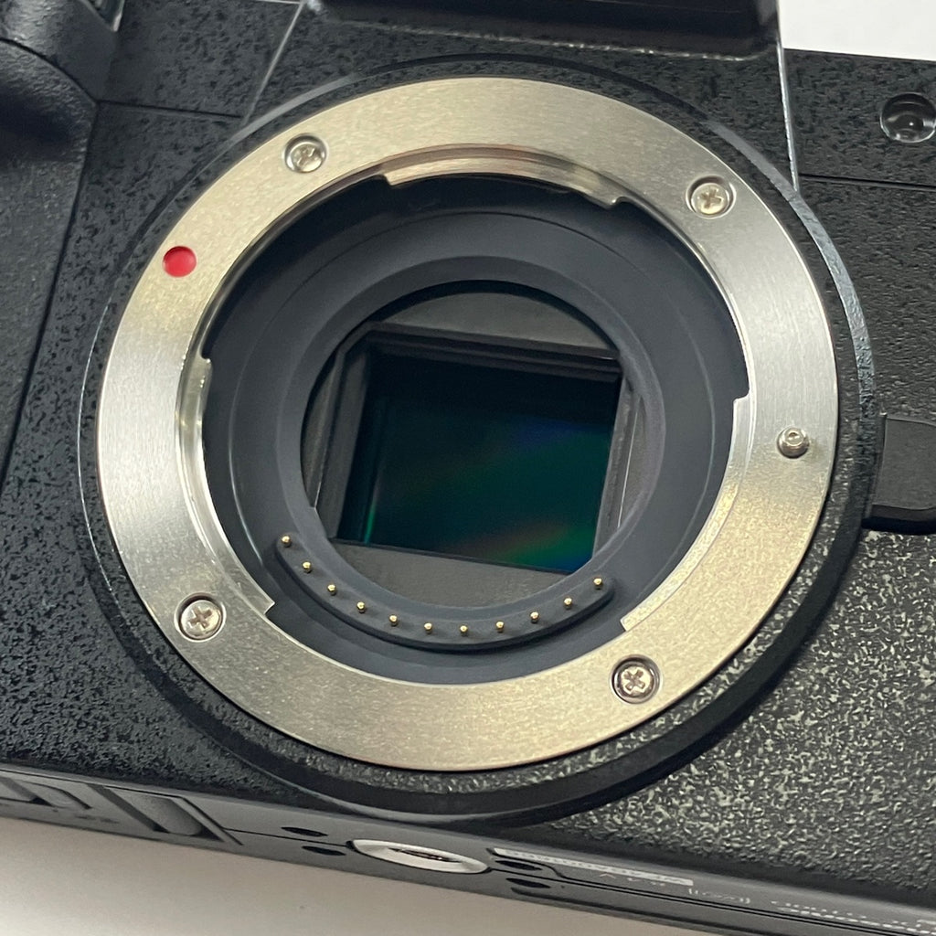 パナソニック Panasonic LUMIX DC-G100D ボディ デジタル ミラーレス 一眼カメラ 【中古】cambb