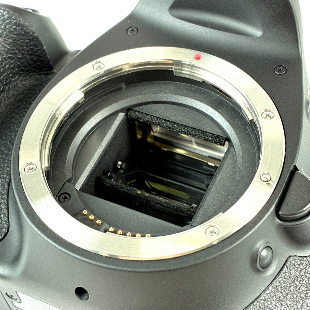 キヤノン Canon EOS Kiss X5 ボディ デジタル 一眼レフカメラ 【中古】cambb