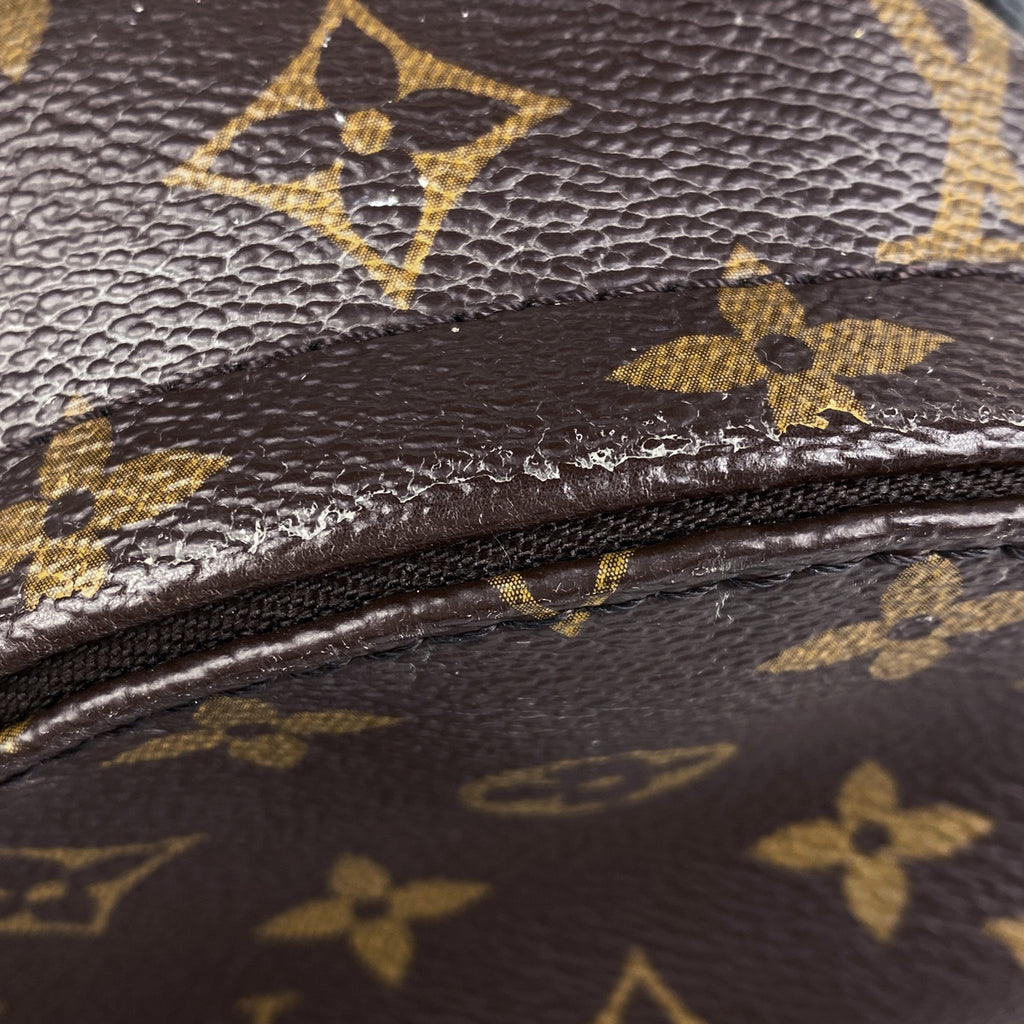 ルイ・ヴィトン パームスプリングス バックパック MINI デイパック ショルダーバッグ リュック モノグラム ブラウン M41562 レディース 【中古】brbag