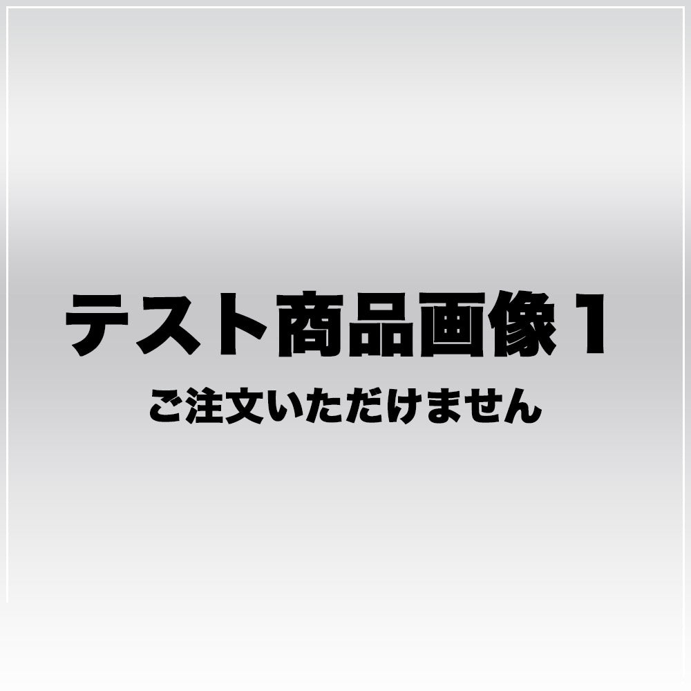 【テスト商品】 テスト商品 テスト商品 ビジネスバッグ レザー レディース 【中古】