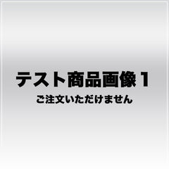 【テスト商品】 テスト商品 テスト商品 ビジネスバッグ レザー レディース 【中古】