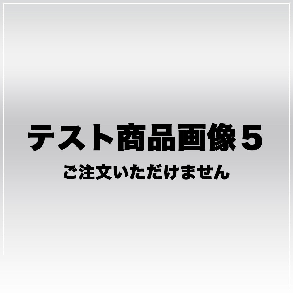 【テスト商品】 テスト商品 テスト商品 ビジネスバッグ レザー レディース 【中古】