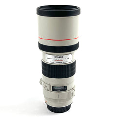 キヤノン Canon EF 300mm F4L USM ［ジャンク品］ 一眼カメラ用レンズ（オートフォーカス） 【中古】cambb