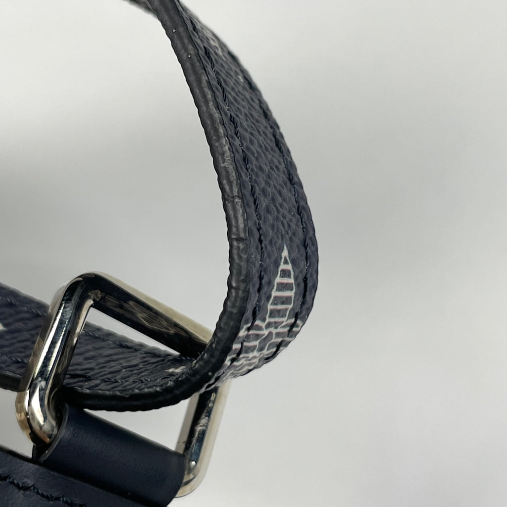 ルイ・ヴィトン パスケース サバンナ ポルト バッジ チャップマン ブラザーズ ゼブラ柄 モノグラム アンクル(ネイビー) M67902 メンズ 【中古】brbag