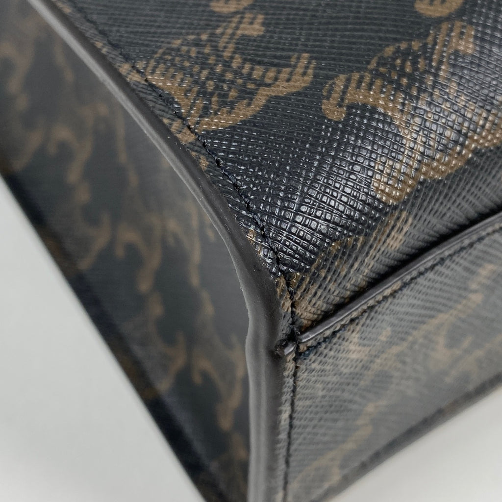 セリーヌ スモール バーティカル カバ 2WAY ショルダーバッグ トリオンフ トートバッグ コーティングキャンバス ブラック ブラウン レディース 【中古】brbag