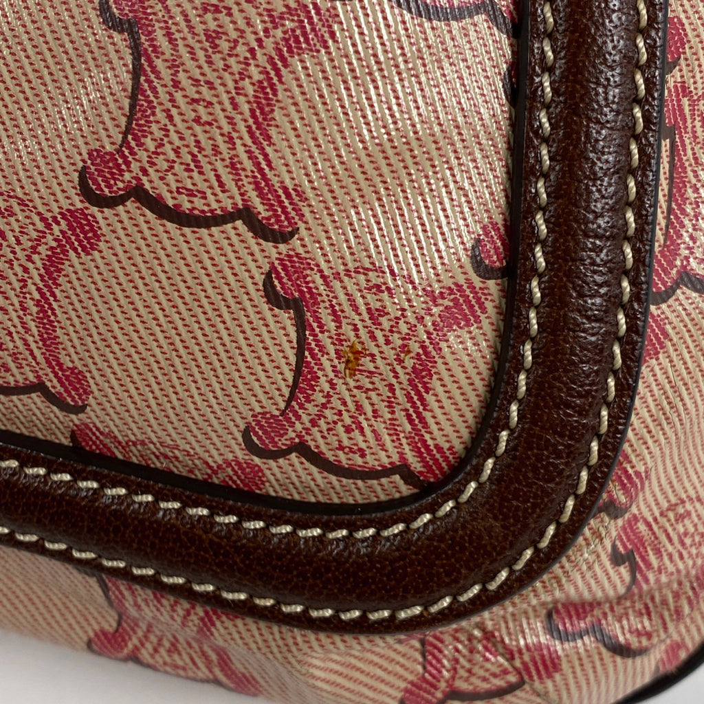 セリーヌ トリオンフ ショルダーバッグ 斜め掛け ロゴ ショルダーバッグ コーティングキャンバス ブラウン レッド レディース 【中古】brbag