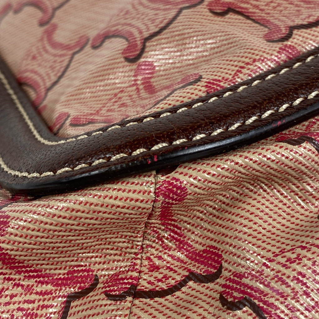 セリーヌ トリオンフ ショルダーバッグ 斜め掛け ロゴ ショルダーバッグ コーティングキャンバス ブラウン レッド レディース 【中古】brbag