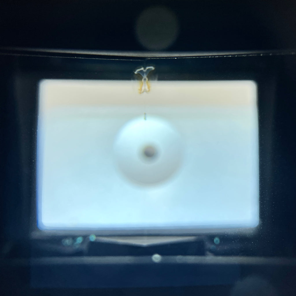 ニコン Nikon F アイレベル シルバー ボディ［ジャンク品］ フィルム マニュアルフォーカス 一眼レフカメラ 【中古】cambb