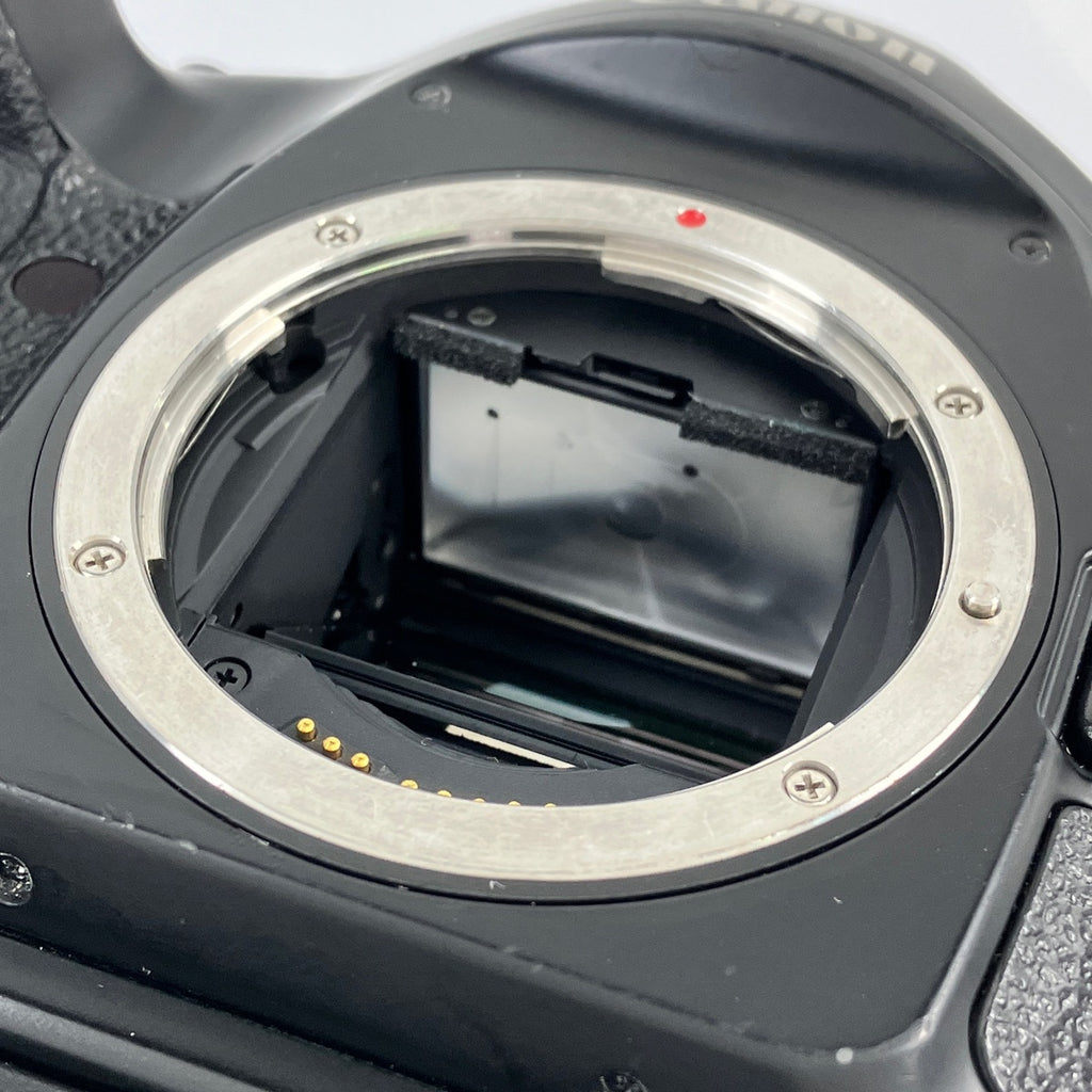 キヤノン Canon EOS 1V ボディ フィルム オートフォーカス 一眼レフカメラ 【中古】cambb