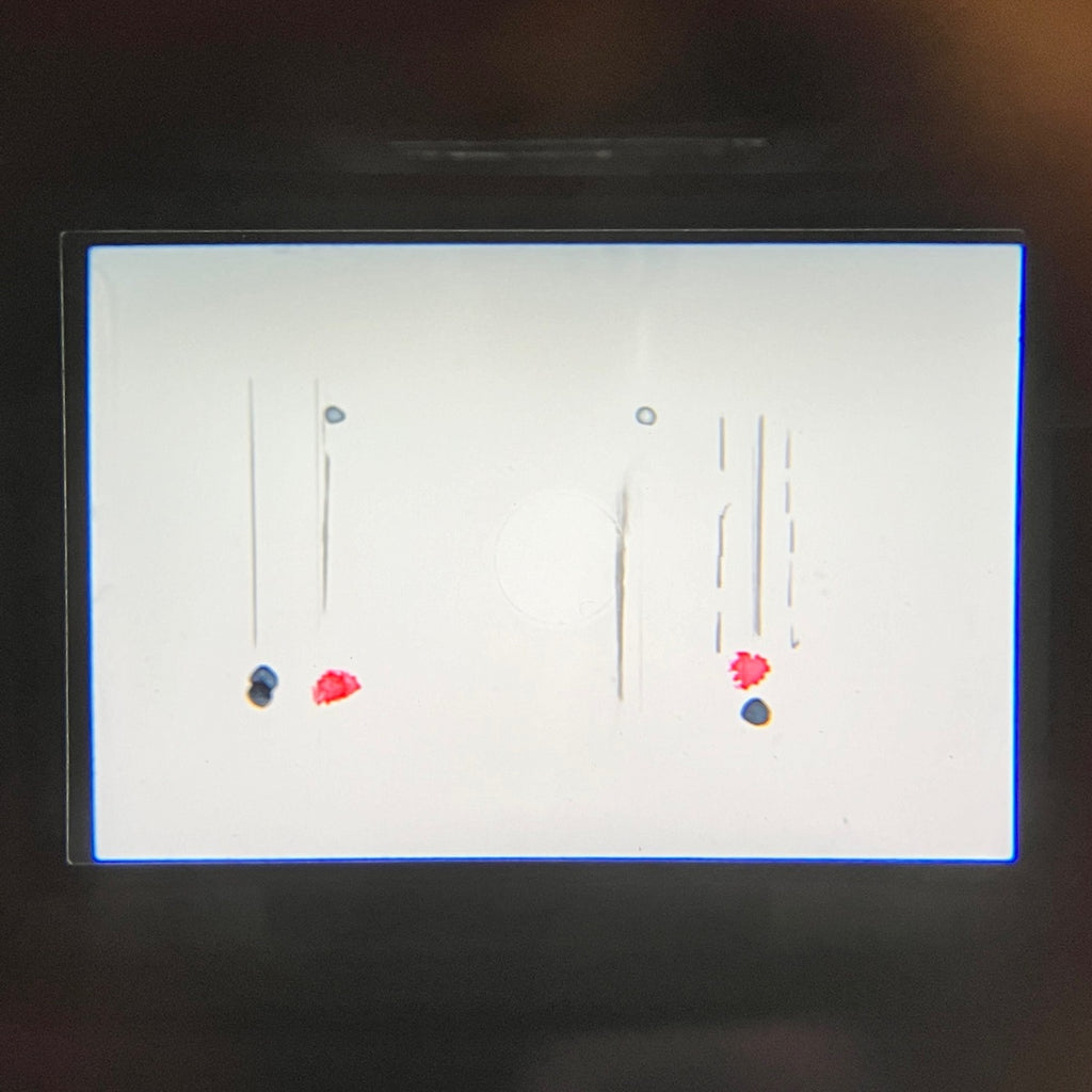 キヤノン Canon EOS 3 ボディ フィルム オートフォーカス 一眼レフカメラ 【中古】cambb