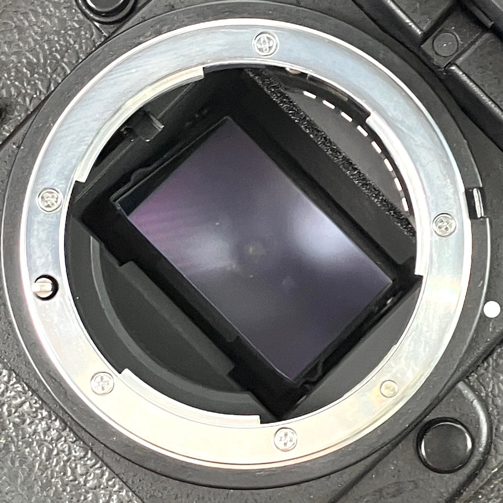 ニコン Nikon F5 ボディ フィルム オートフォーカス 一眼レフカメラ カメラ 【中古】cambb