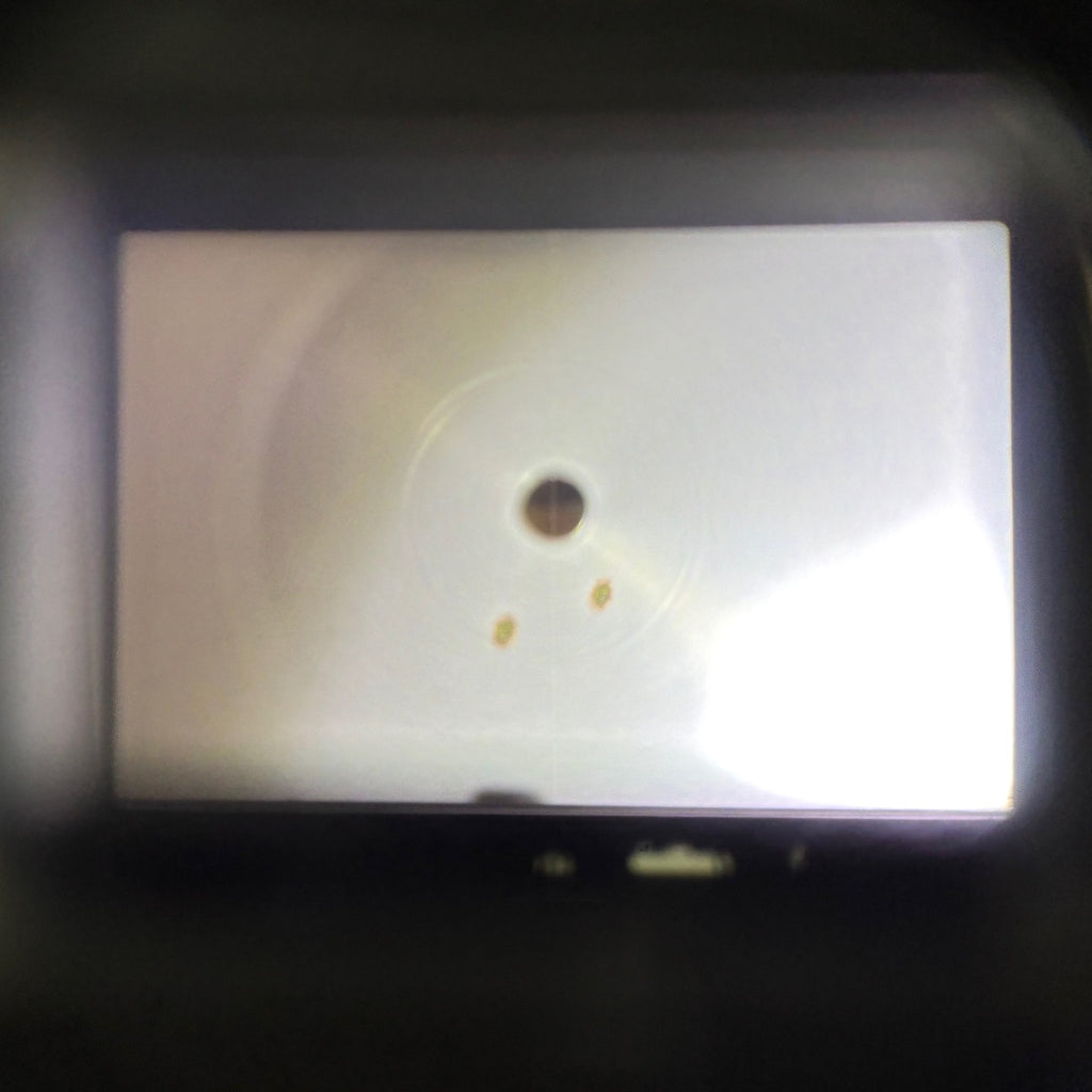 ニコン Nikon F2 フォトミック ボディ フィルム マニュアルフォーカス 一眼レフカメラ カメラ 【中古】cambb